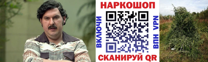 Как найти наркотики Гаврилов-Ям LSD-25  А ПВП  ГАШ  МАРИХУАНА 