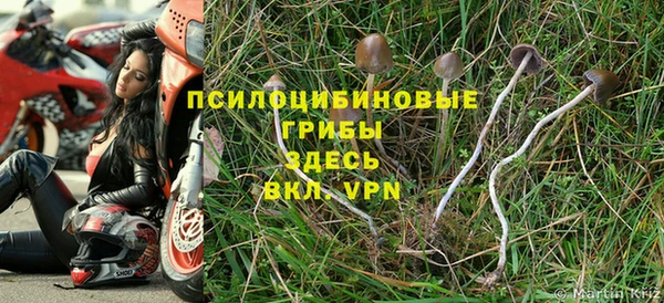 таблы Бородино