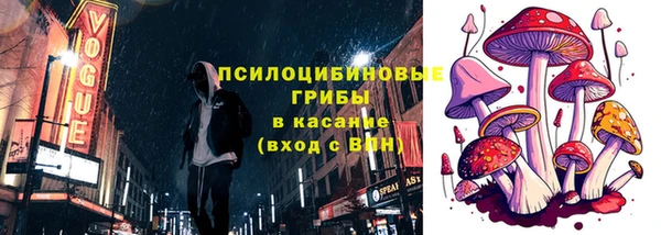 таблы Бородино