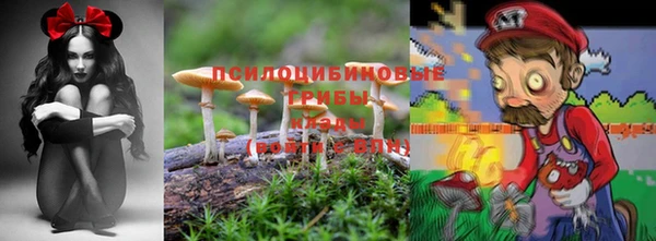 мет Богородск