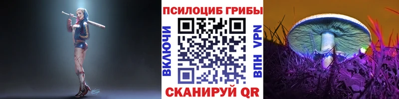 Галлюциногенные грибы MAGIC MUSHROOMS  Гаврилов-Ям 